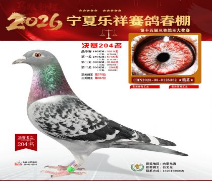 �����������204��