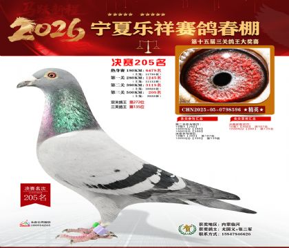 �����������205��