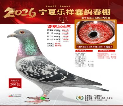 �����������206��