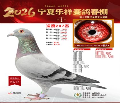 �����������207��