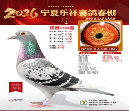 �����������208��