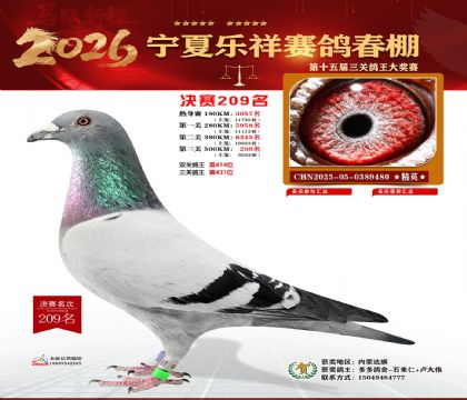 �����������209��