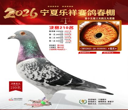 �����������210��