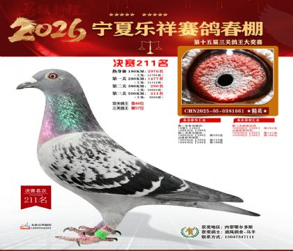 �����������211��