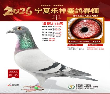 �����������213��