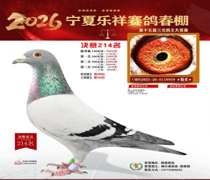 �����������214��