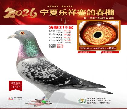 �����������215��