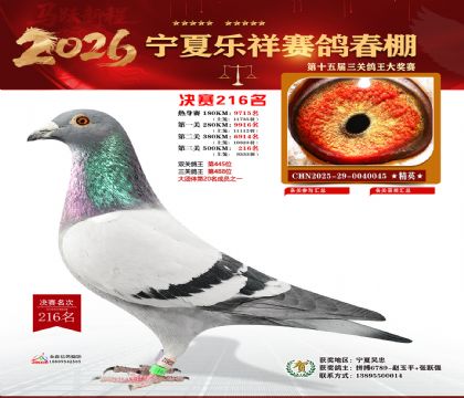 �����������216��