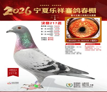 �����������217��