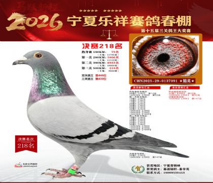 �����������218��