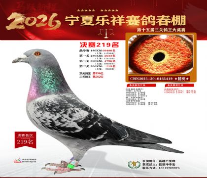 �����������219��