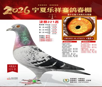 �����������221��