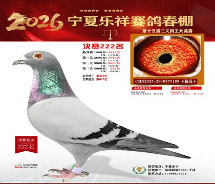 �����������222��