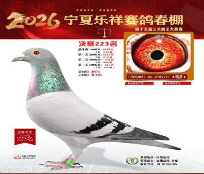 �����������223��