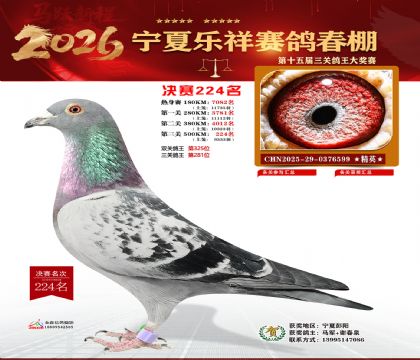 �����������224��