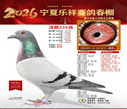 �����������225��