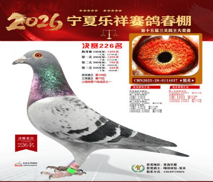 �����������226��