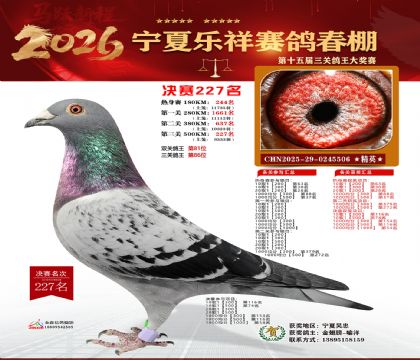 �����������227��