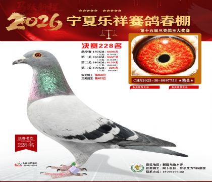 �����������228��