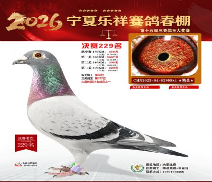 �����������229��