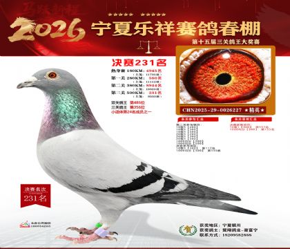 �����������231��