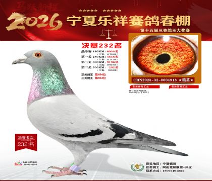 �����������232��