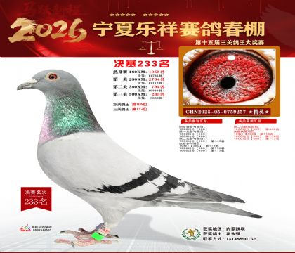 �����������233��