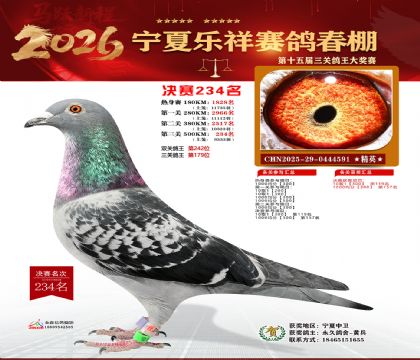 �����������234��