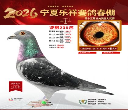 �����������235��