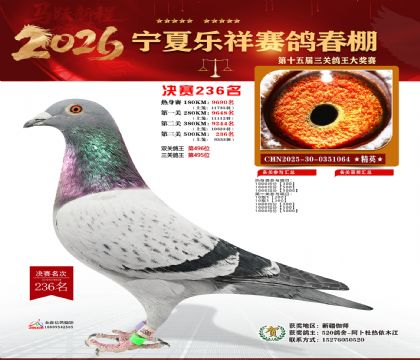 �����������236��