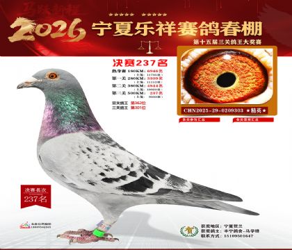 �����������237��