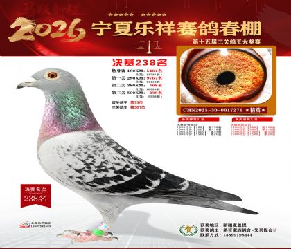 �����������238��