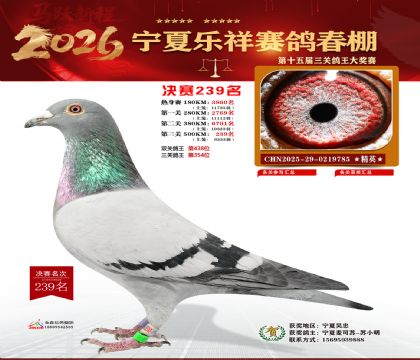 �����������239��