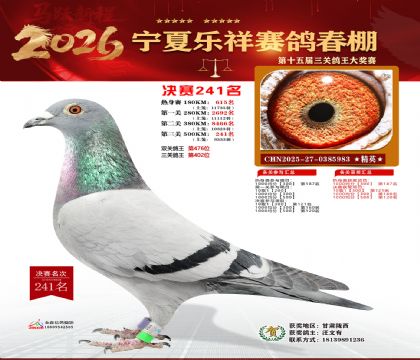 �����������241��