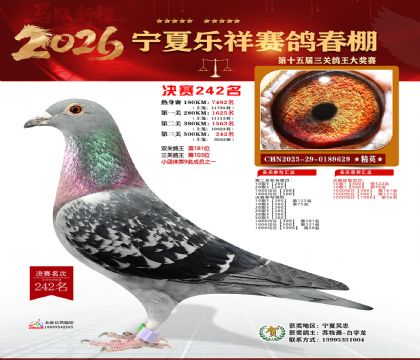 �����������242��