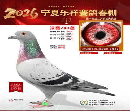 �����������243��