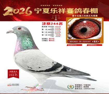 �����������244��