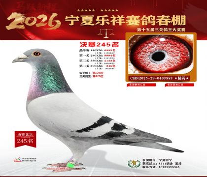 �����������245��