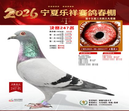 �����������247��