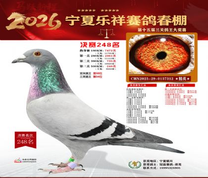 �����������248��