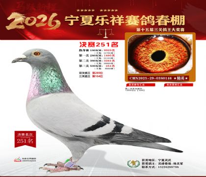 �����������251��