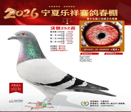 �����������252��