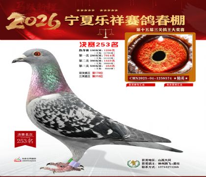 �����������253��