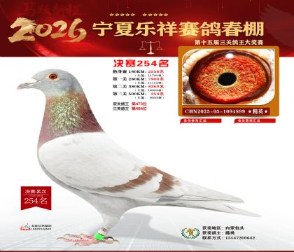 �����������254��