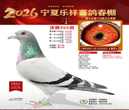 �����������255��