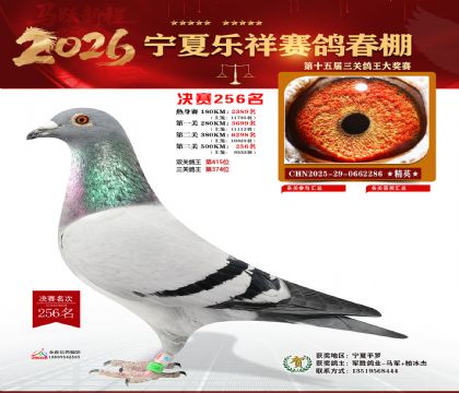 �����������256��