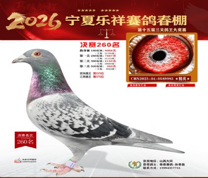 �����������260��