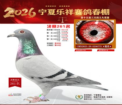 �����������261��