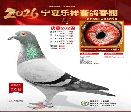 �����������262��