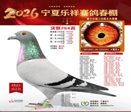 �����������264��